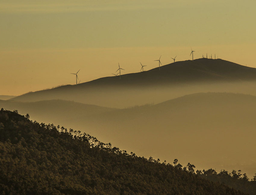 molinos de viento