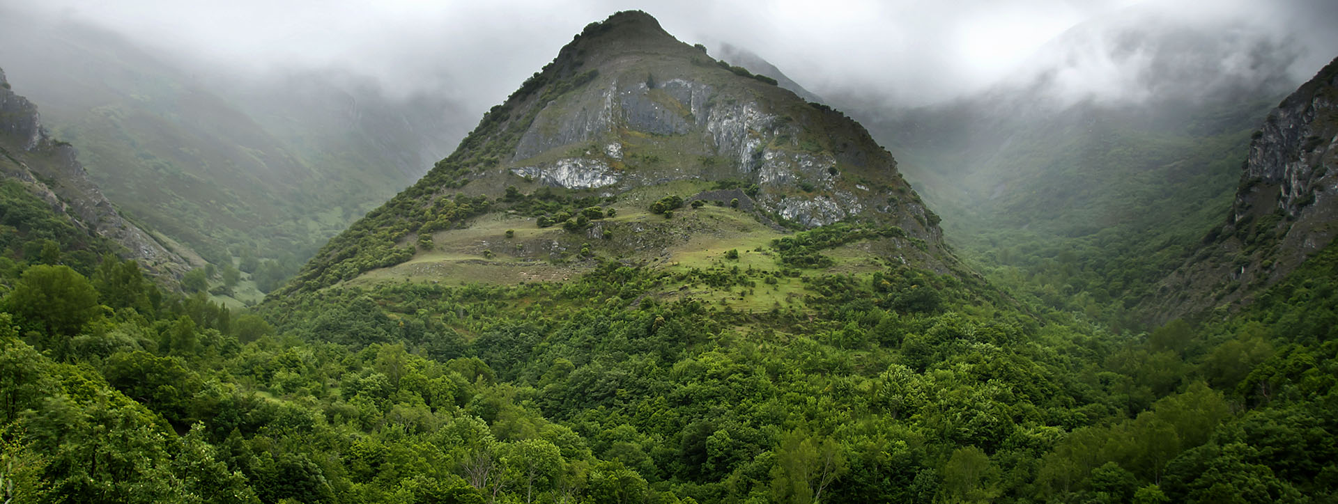 acivro medioambiente