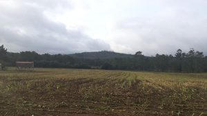 Parque eólico Miñón (Vimianzo, A Coruña) 2