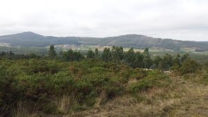 Parque eólico Miñón (Vimianzo, A Coruña) 2