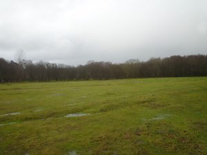 eia Campelo meson do vento