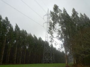 eia Campelo meson do vento