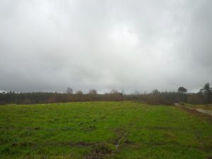 eia Campelo meson do vento