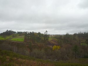 eia Campelo meson do vento